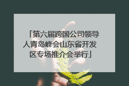 第六届跨国公司领导人青岛峰会山东省开发区专场推介会举行